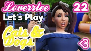 Cats & Dogs #22: 4th of July Fireworks!