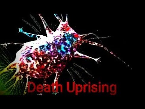 How strong is lvl 46 Marine Tardigrade in BIONIX? | BIONIX gameplay