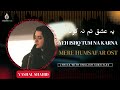 Yeh Ishq Tum Na Karna Mere Humsafar OST Lofi Version Lyrics Visionistan