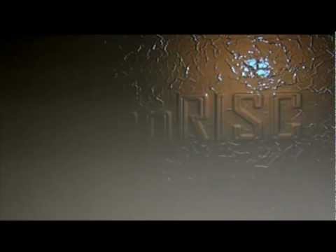 Open Source Processes for OpenRISC - OpenRISC Project Meeting 2012