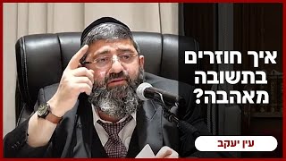 הרב אייל עמרמי - ו' תשרי תשפ"ו [ 28.09.25] (הרב אייל עמרמי) - התמונה מוצגת ישירות מתוך אתר האינטרנט יוטיוב. זכויות היוצרים בתמונה שייכות ליוצרה. קישור קרדיט למקור התוכן נמצא בתוך דף הסרטון