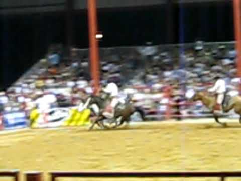Guy's hand gets stuck on a horse during rodeo