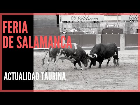 Feria Taurina 🐂 de Salamanca 2021