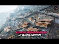 Wangxian A City With Houses Hanging From A 100 Meter Cliff