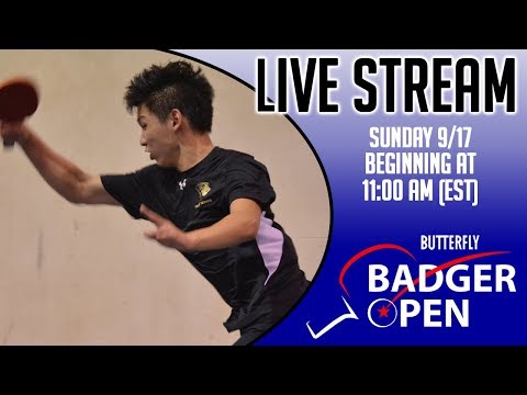 2017 Butterfly Badger Open Day 2