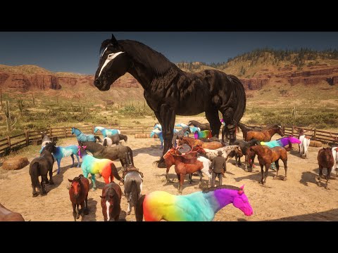 Meet the Colorful Champions | Arthur's Unique Horse Taming Adventures | Big Black Shark Horses