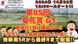 2024 10月20日 第85回  菊花賞 G1 新潟5Rからレース実況配信