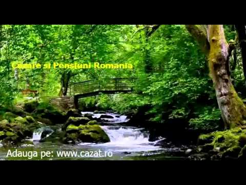 Cazare Olaneasca, Braila - Cazat.ro