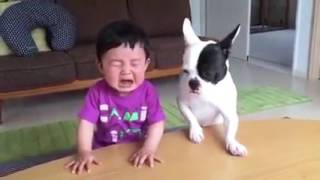 Whatsapp funny videos 2017 - Most funny DOG AND KIDS Videos 2017