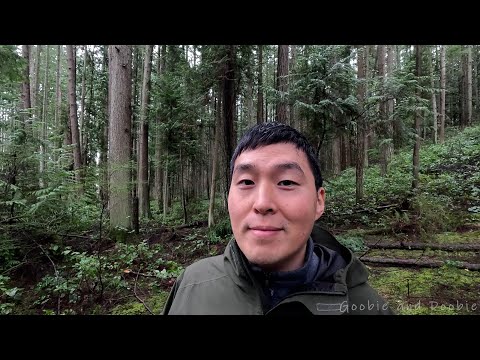 The Power of One Person - You