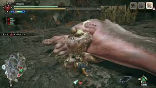 [MHRS]実況プレイpart25 上位編