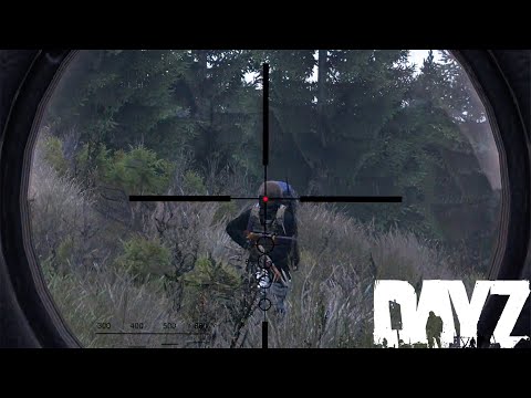 Unique Moments 2 - DayZ