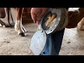 INJURED HOOF Gets CUSTOM SHOE