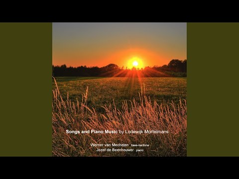 't Is de Mandel (2019 remastered Version)