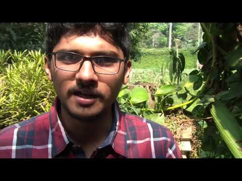 SYNTHFARM EDITION 5: MODULAR ANALOG