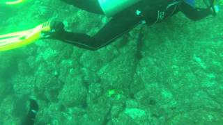 preview picture of video 'Costa Rica Diving Playa Hermosa Diving Safari's (Play Pen Diving Site) Nudibranchs, Barber Fish'