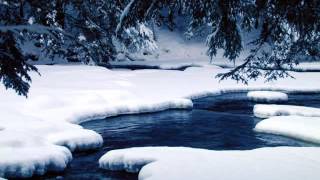 The Infant King--video