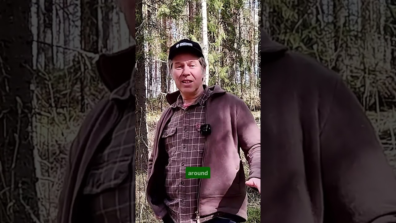 Marteloscopes: helping forest owners see their forest differently #sustainability #forestry