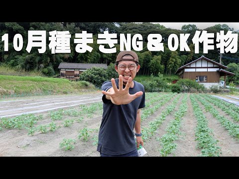 1月に温室で何を播くか