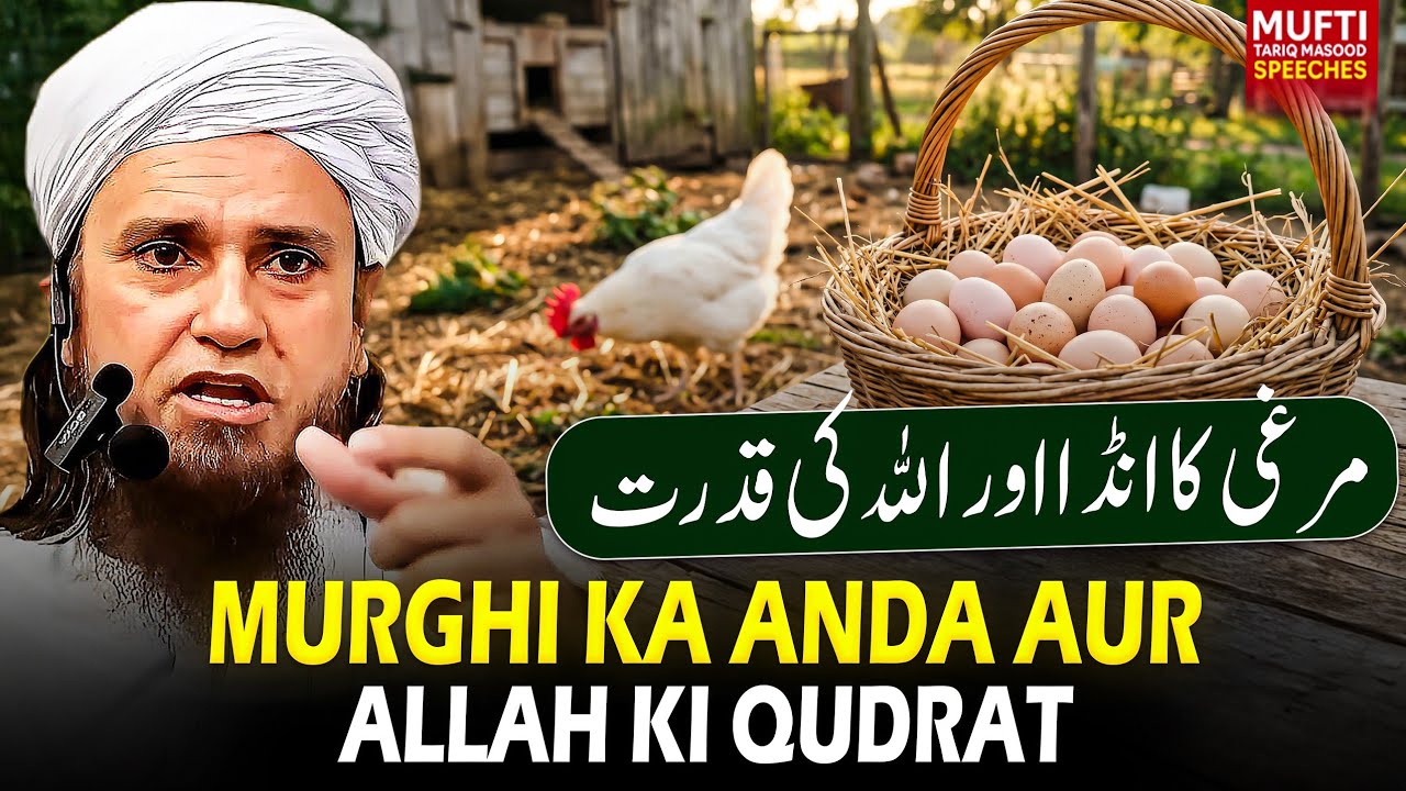 Murghi Ka Anda Aur Allah Ki Qudrat | Mufti Tariq Masood Speeches 🕋