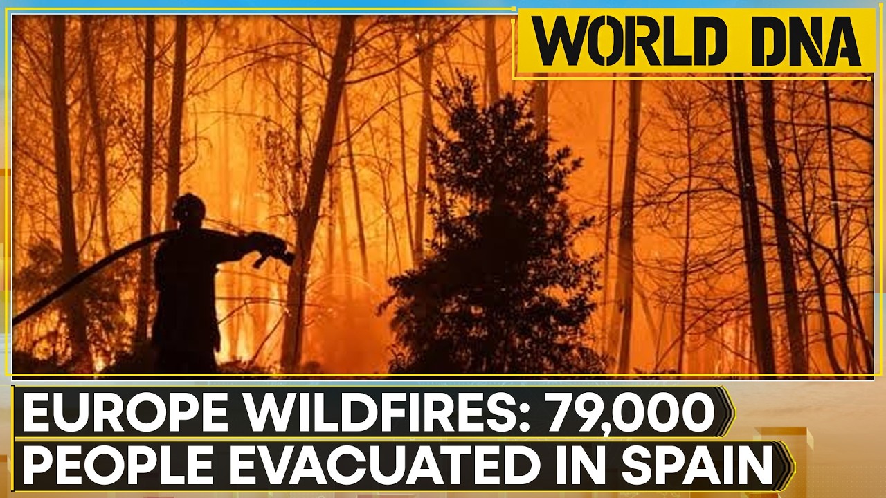 French President Macron Says Wildfires In Landes Region Contained | WION World DNA