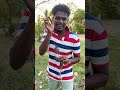 మరుగు మందు చెట్టు Shorts Short Shortvideo Shortsvideo Trending Trendin