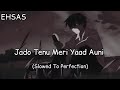 Jado Tenu Meri Yaad Auni Slowed Reverb EHSAS Latest Punjabi TikTok Trending Sad Songs