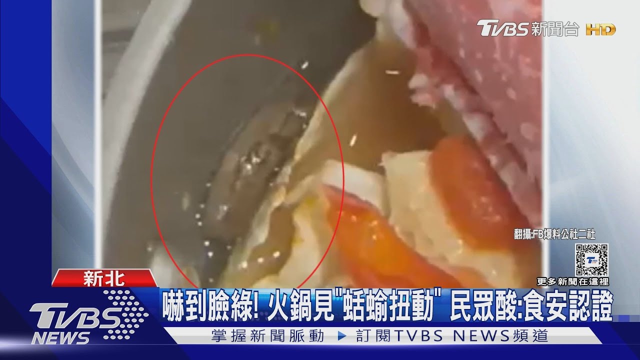 嚇到臉綠!火鍋見「蛞蝓扭動」 民眾酸:食安認證