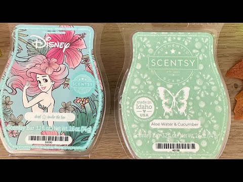 Scentsy Aloe Water & Cucumber vs. Ariel Under The Sea