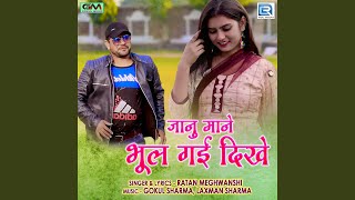 Janu Mane Bhul Gi Dikhe song artwork