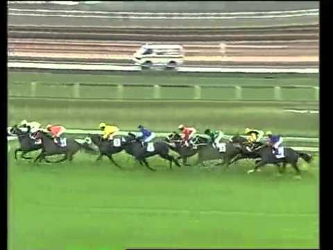 English Garden-SA Classic(GR1)