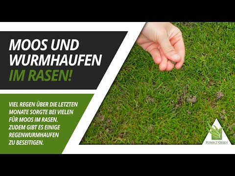 🌱 Moos im Rasen - Ursachen & Maßnahmen  |  Regenwurmhaufen beseitigen  |  Frühjahrsdünger Rasen  🌱