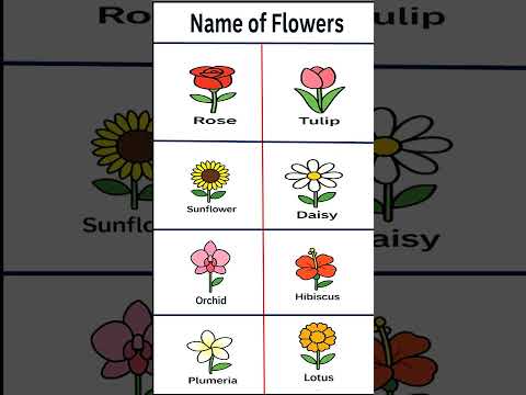 English Vocabulary | Beautiful Flowers Names with Pronunciation #englishvocabulary #spokenenglish