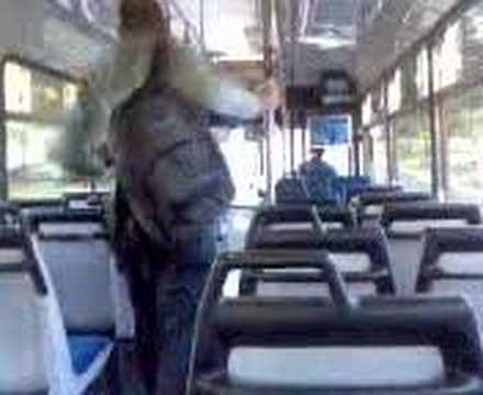 Mercedes Benz O405 - Forest Coach Lines, NSW, Australia