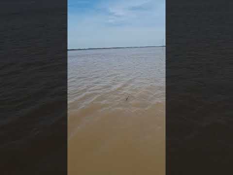 Piedras coloradas camping colon entre rios!!!