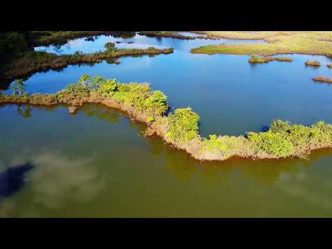 Rio Uberabinha: Beleza Natural de Uberlândia, MG 🌊