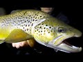 Nighttime Fly Fishing for Brown Trout [MOUSING!]