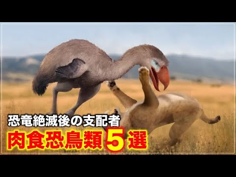 鋭い嗅覚を持つ果実を食べる原始的な鳥
