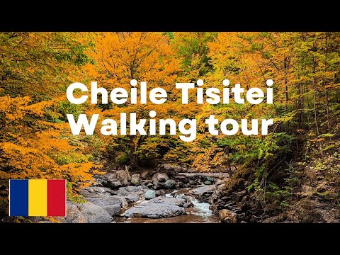Cheile Tisitei ,Vrancea walking tour