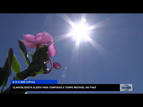 Climatologista alerta para temporais e tempo instável em B-r-o Bró atípico no Piauí 15 11 2022