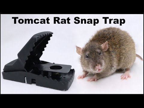 Mouse Catch Strong Snap Traps Snare Catch Mice Rat Steels Permanent Use  Rodent