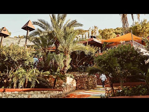 Magic Happens at Cova Santa Ibiza - Season 2022