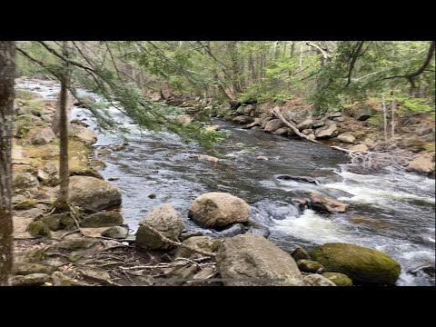 Feeling The Stress?...Relax || #relax #destress #asmr