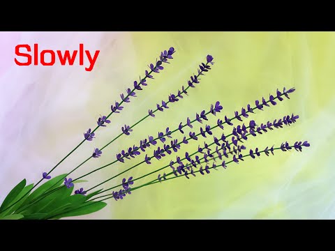 ABC TV | How To Make Lavender Paper Flower With Shape Punch #4 (Slowly) - Craft Tutorial