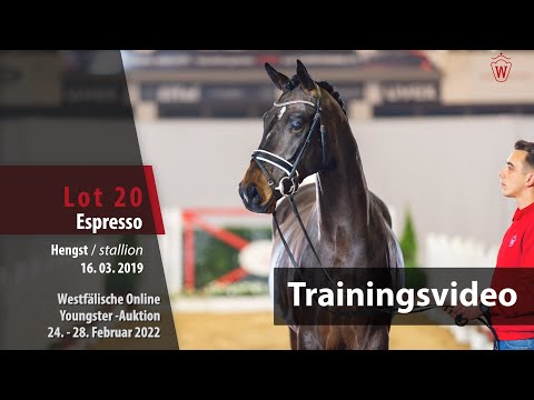 Online Youngster-Auktion Training Lot 20 Espresso Hengst v. Emilio Sanchez - Floriscount