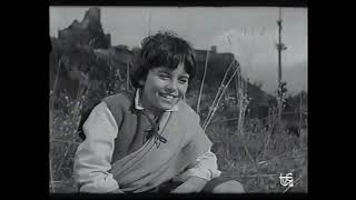 Download lagu Lazarillo de Tormes (1959) mp3