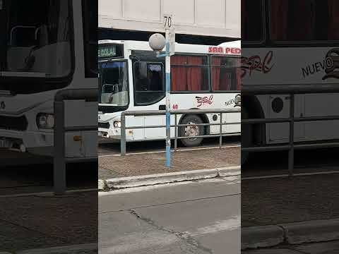 Empresa San Pedro de Colalao coche 60 "El Nuevo" Tucumán