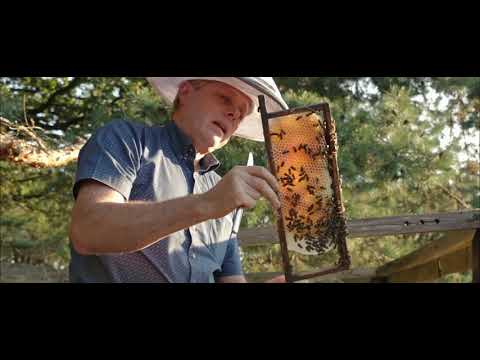 Goud gevonden op de Veluwe! (Minidocumentaire)