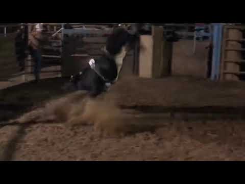 810 - Dennis & Jan Owens