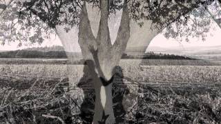 JIŘÍKOVO VIDĚNÍ - V poli strom (2013)